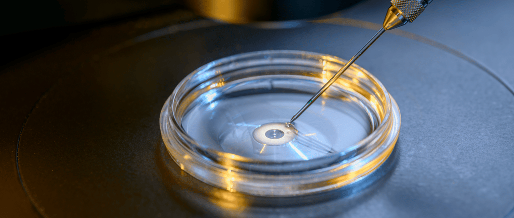 IVF laboratory scene with pipette inserting sample into petri dish