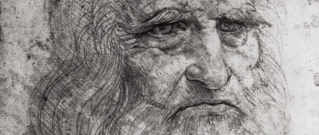 Leonardo Da Vinci's black and white self-portrait
