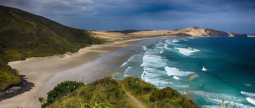 New Zealand Coastline