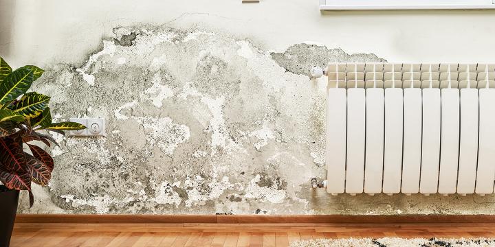 Interior wall with significant mold growth and water damage above a heater.