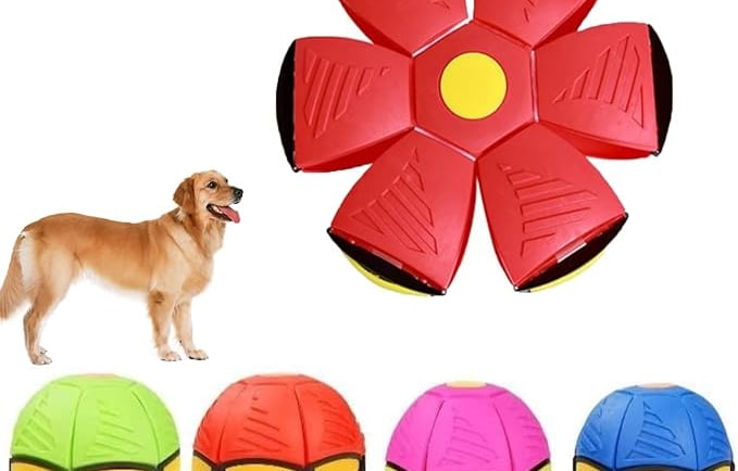 Doggy Toy