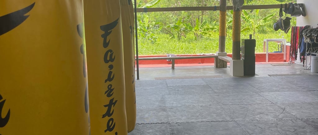 Salle dâentraĂźnement ouverte sur les riziĂšres Ă Ubud, avec tatami et sac de frappe, atmosphĂšre paisi