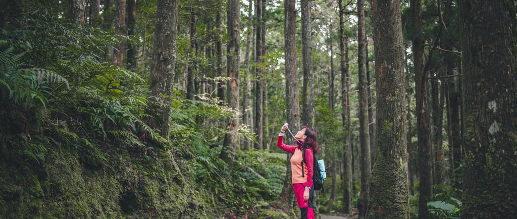 mulher en contato com a natureza