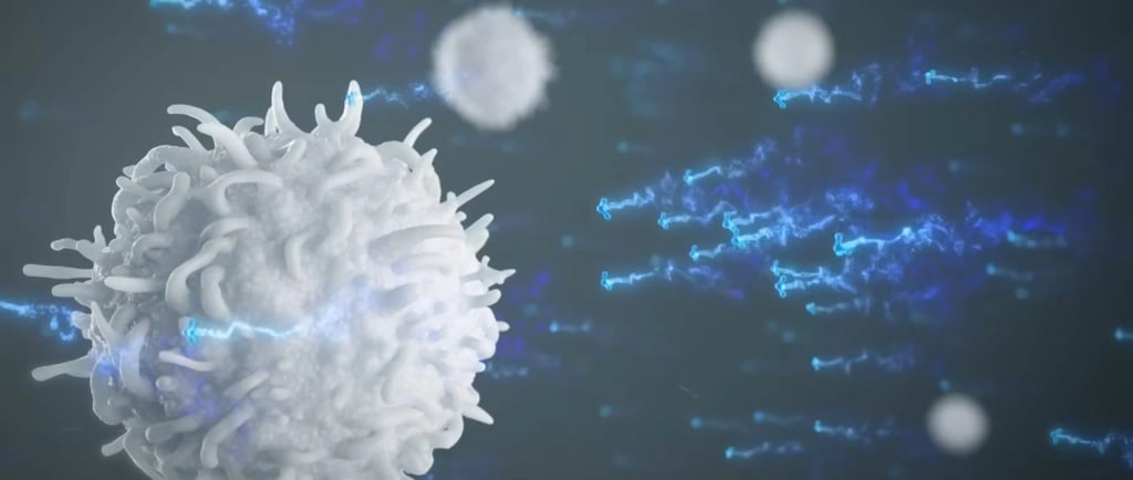 visual representation of Transfer Factors targeting immune cells