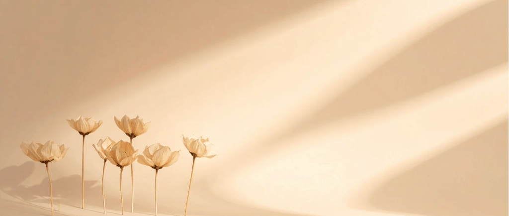 Fleurs éclairées par un rayon de lumière, symbolisant la PNL, la confiance en soi et la reconstructi