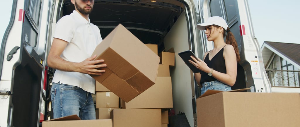 demenagement des cartons et meuble