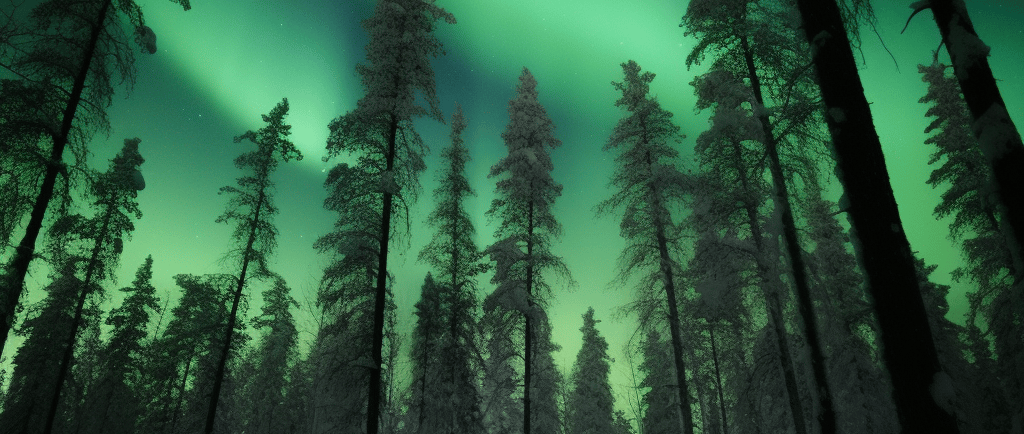 a green and green sky with a green sky and trees