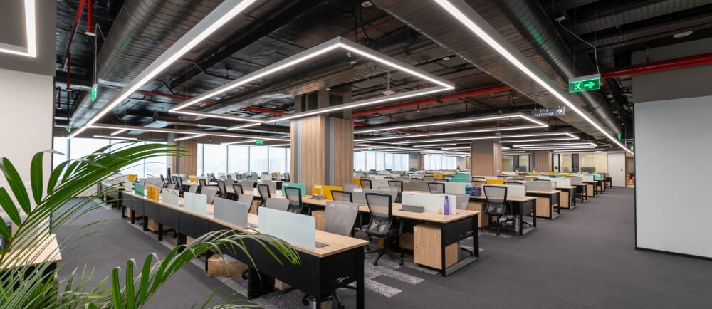 A large open office with a desk and a plant