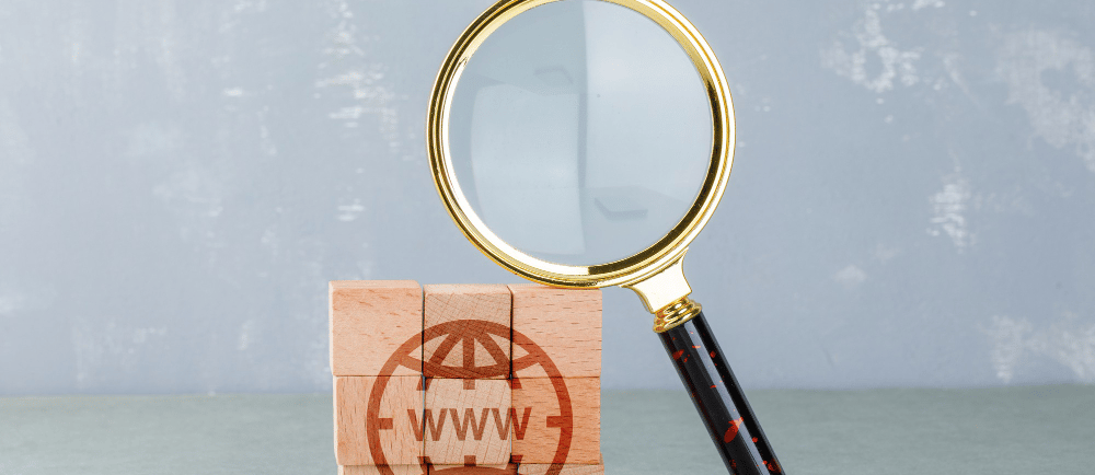 Lupa e cubo com ícone de internet e a sigla "www"