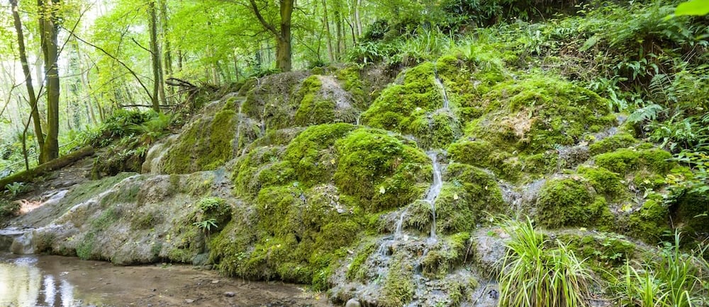 biodiversity