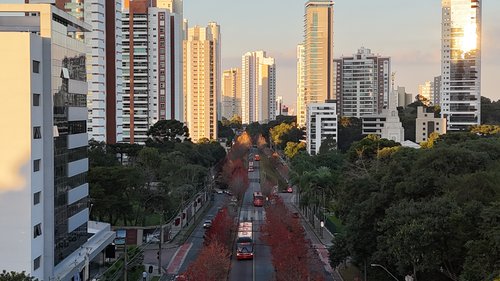 imagem de drone feita da rua do outono, em Curitiba