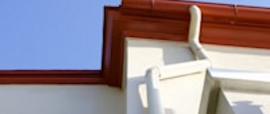Gutter cleaning near me