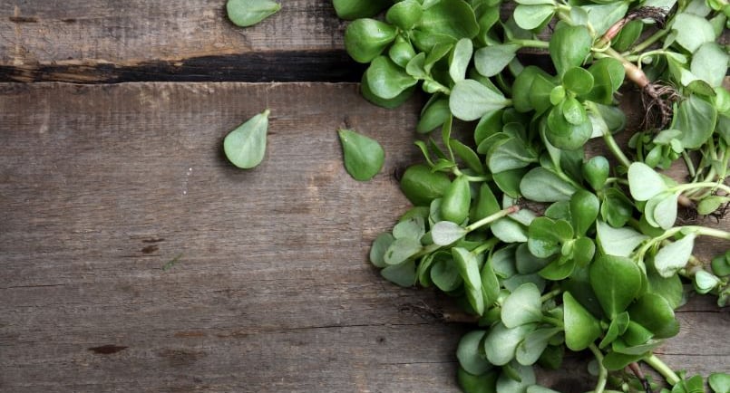 fresh purslane on a cutting board
