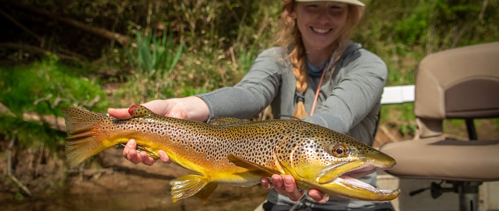 Female Angler shows off trophy brown trout on the Watauga River.
