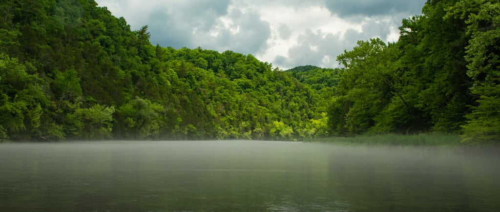 The upper South Holston River in the summer.