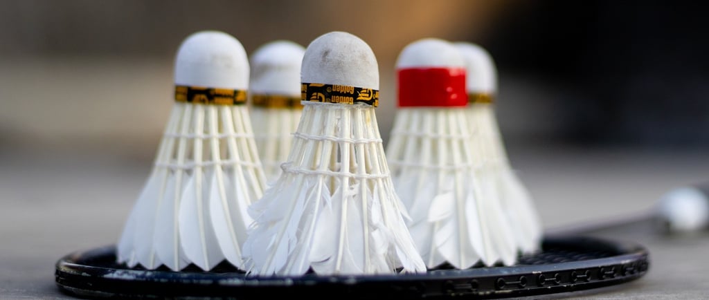 Badminton-Kurs-foto
