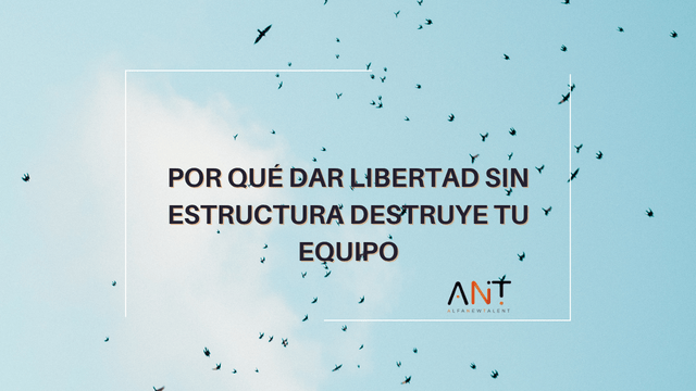 Autonomía vs. Desorientación: por qué dar libertad sin estructura destruye tu equipo