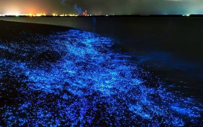 Indian River Lagoon