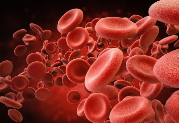 hmeglobina hemacias sangue spass