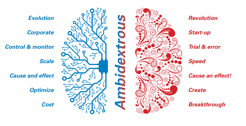 a brain map of a brain explaining left brain functions and right brain functions