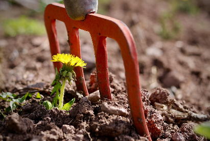 Le printemps selon sainte hildegarde