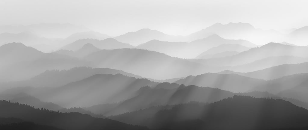 Grey Scale Mindset graphic illustrating trust as a mechanism for managing organizational complexity