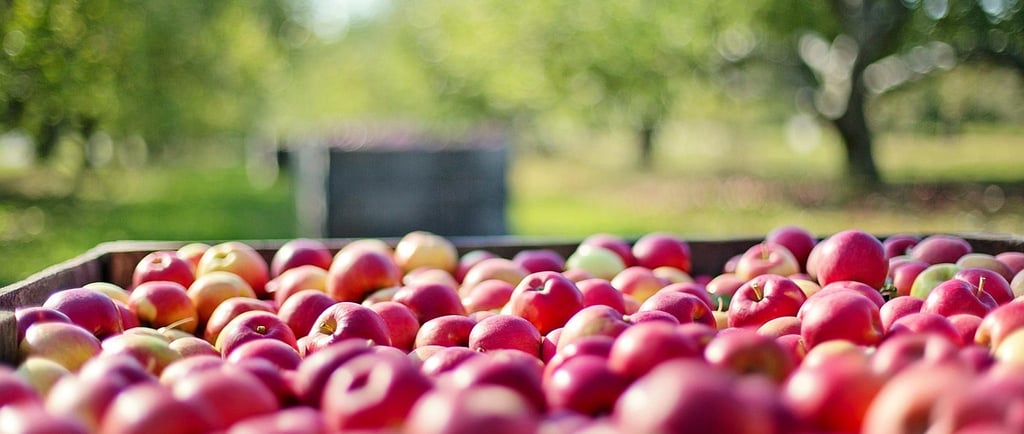 a crate of apples in a crate of apples