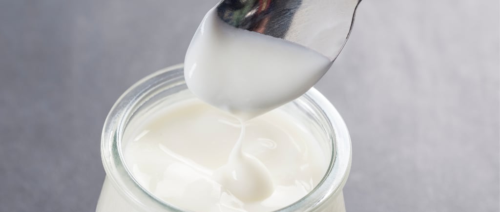 ernĂ€hrungsberatung-fĂŒr-hunde-soltau