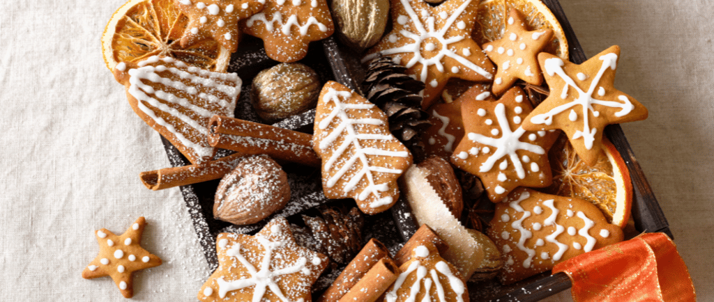 ernĂ€hrungsberatung-fĂŒr-hunde-soltau