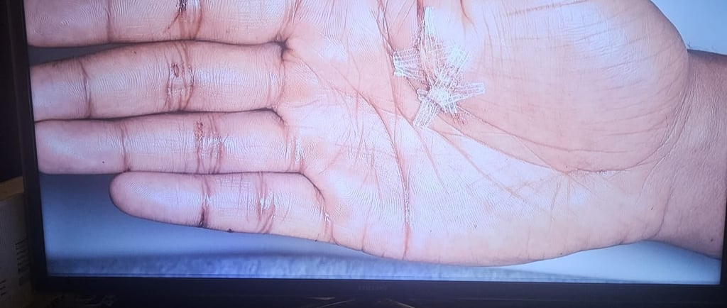 rob hamilton decodes the palm of a brutal murderer