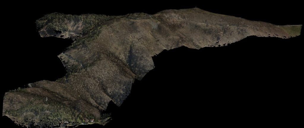 nuvola di punti lidar di area boscata