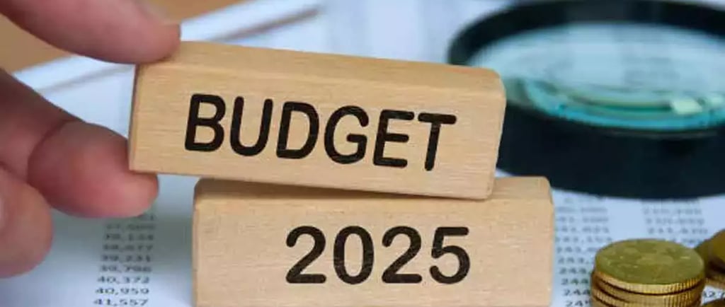Budget 2025-26: Taxpayers’ Expectations and Key Reforms Needed for Greater Financial Relief