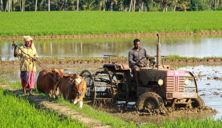 India’s Agriculture Landscape: Northeast Monsoon Ends, Rabi Crops Progress, and Key Trends to Watch
