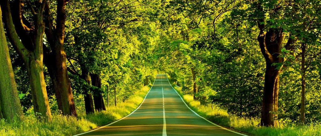 Midlife Reinvention