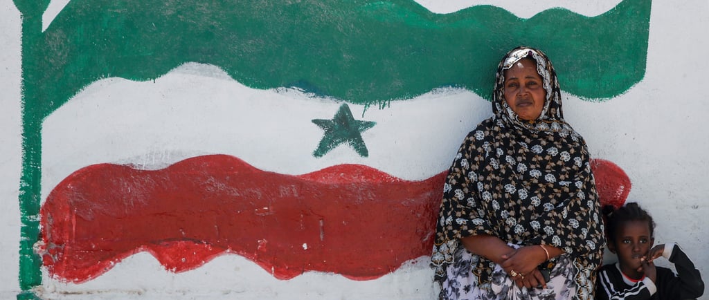 A US Base in Somaliland? The High-Stakes Gamble That Could Remap the Horn of Africa_ African Narratives