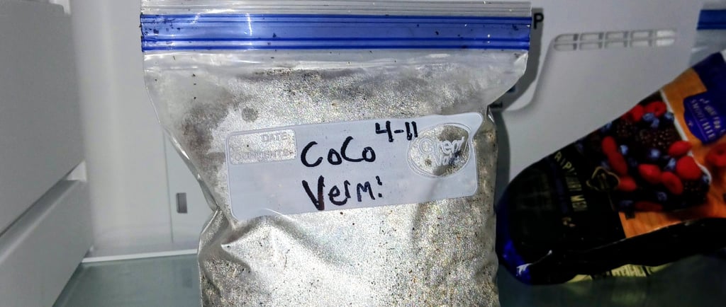 mushroom substrate being stored in freezer