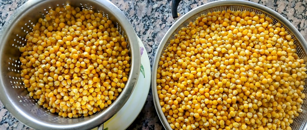 two colanders of corn grain drying