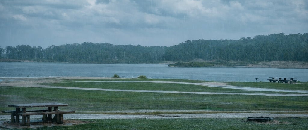 Empty picnic tables in a rainy park setting by a calm lake with a dense forest background.