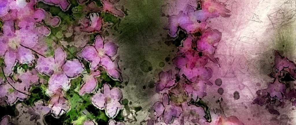 Watercolor of pink larkspur and green background digital and paint.