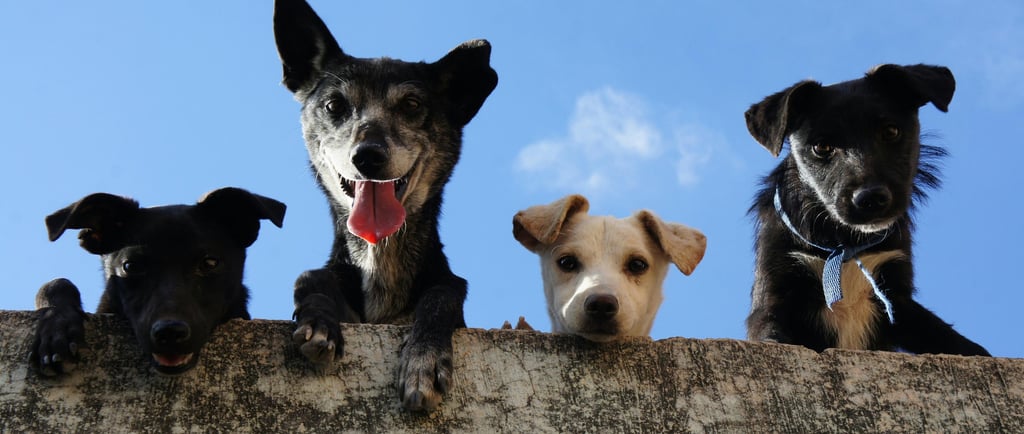 Photo by Edgar Daniel Hernández Cervantes