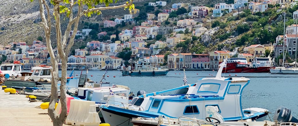 a boat docked at a dock with a tree in the background