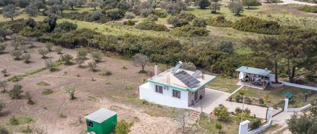 Aerial view of a white countryside house with solar panels surrounded by olive trees.