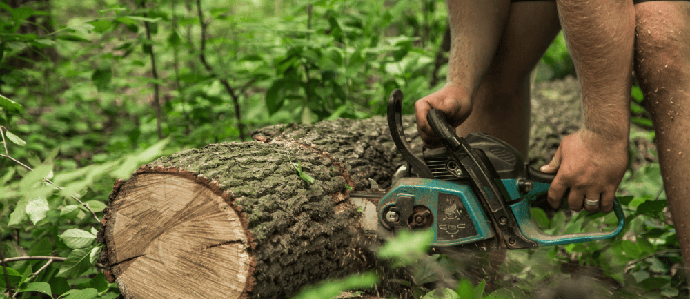 tree service edmond ok