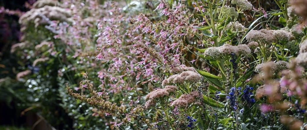 a garden with a wooden fence and flowers