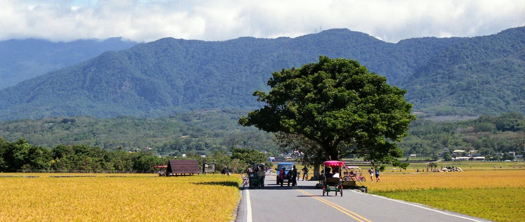 taiwan mountains, taiwan rural life, rice fields