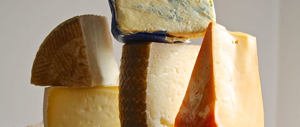 variedad de quesos