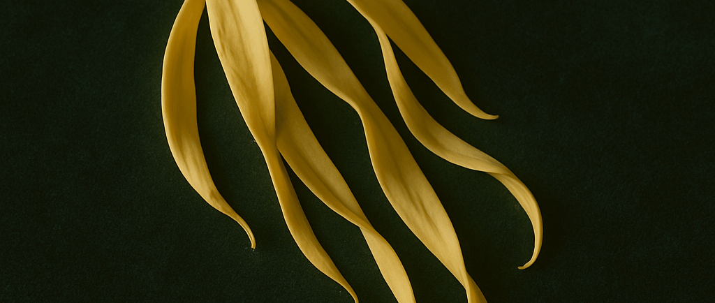 a bunch of ylang ylang on a green background