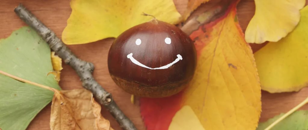 Paradoxul fericirii - echilibru emoțional și fericire autentică