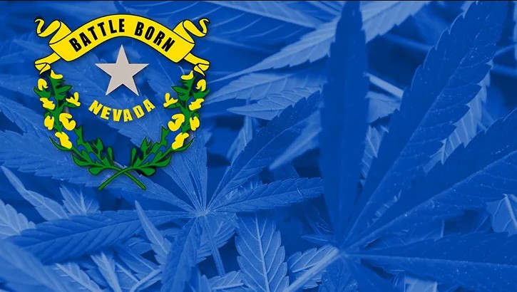 a marijuana leaf with a star on it