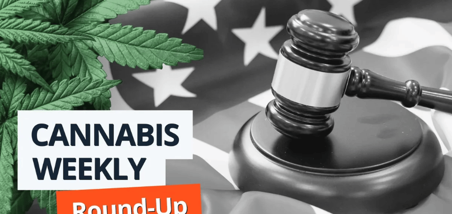 Cannabis Legislative Updates